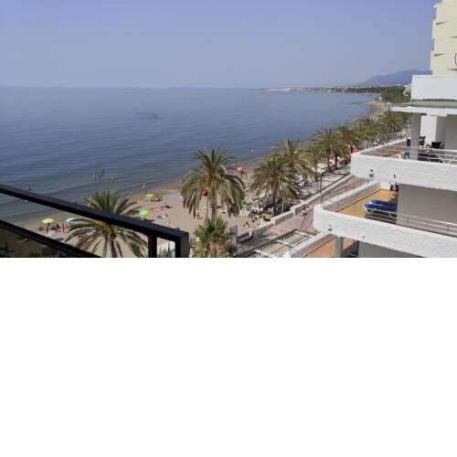 Skol 536C by Completely Marbella