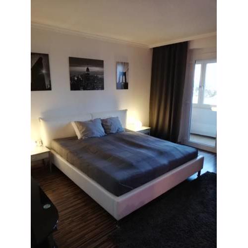 Skyline Apartment Full in the Center of Wels