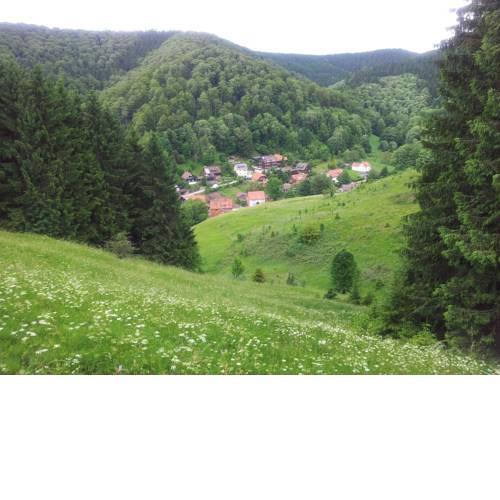Sleep in Lerbach
