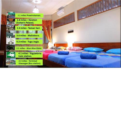 Sleepy Raccoon Hostel