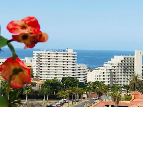 Smart apartment ocean view