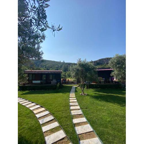 Söğüt Tinyhouse & Glamping