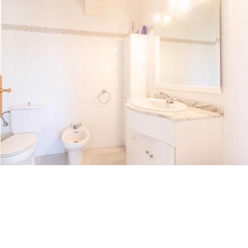 Solace Apartment