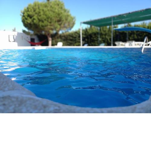 SOLECITO