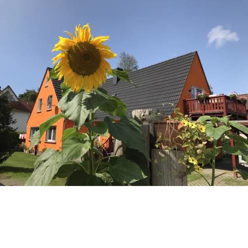 Sonnenblumen Haus