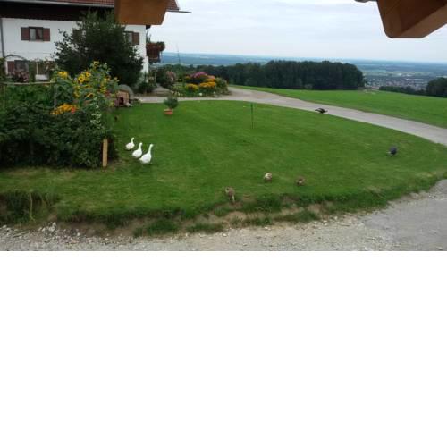 Sonnenhub