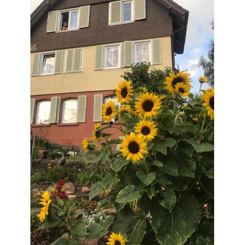 sonnige Ferienwohnung