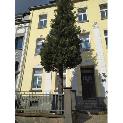 Sonnige ruhige Wohnung bei Aachen mit Terrasse