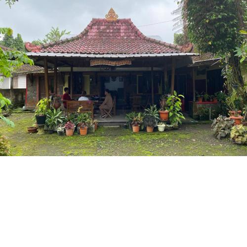 Sopo Guesthouse