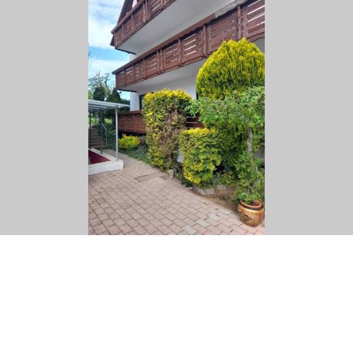 Souterrain Wohnung in Bensheim
