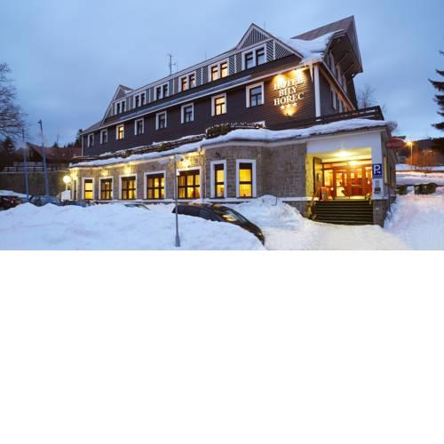 Spa Hotel Bily Horec