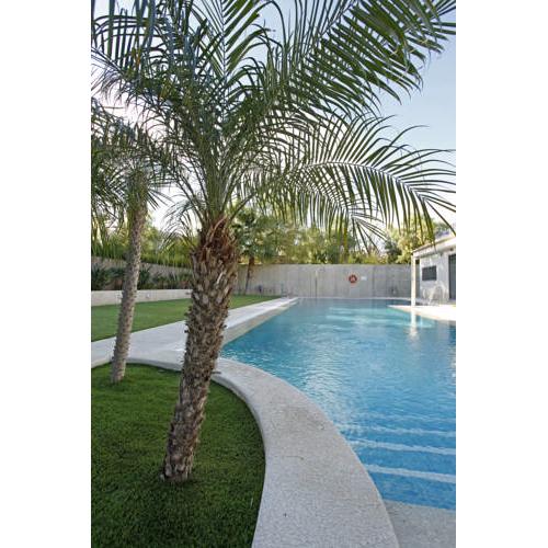 Spa Jardines de Lorca