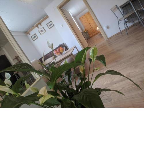 Spacious 2BR w Parking Near Park Maksimir
