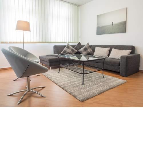 Spacious and modern furnished apartment
