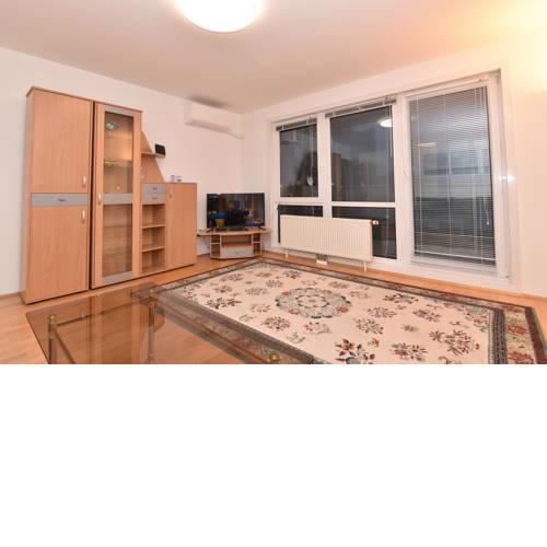 Spacious Apartment by United Nations and Austria Center