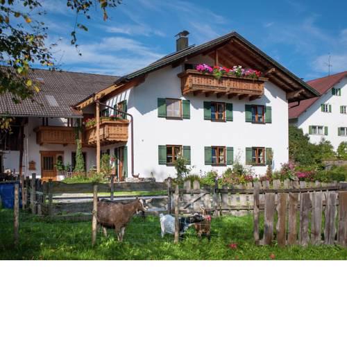 Spacious Apartment in Burggen on a Farmhouse
