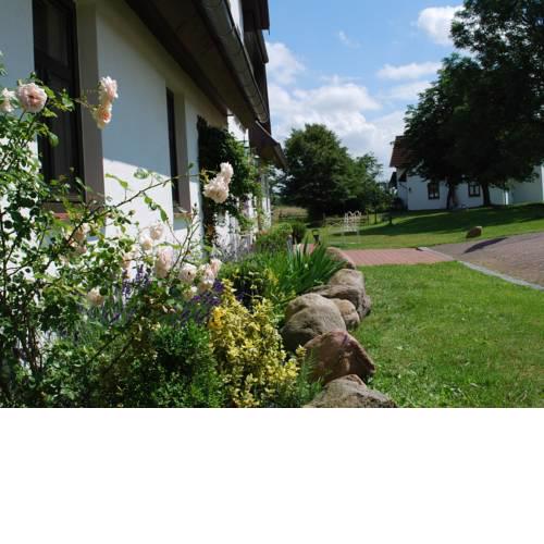 Spacious Apartment in Dargun Mecklenburg with Swimming Pool