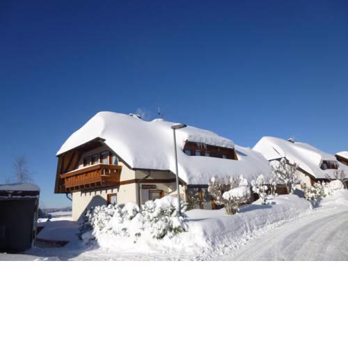Spacious Apartment in Furtwangen with Garden and Terrace