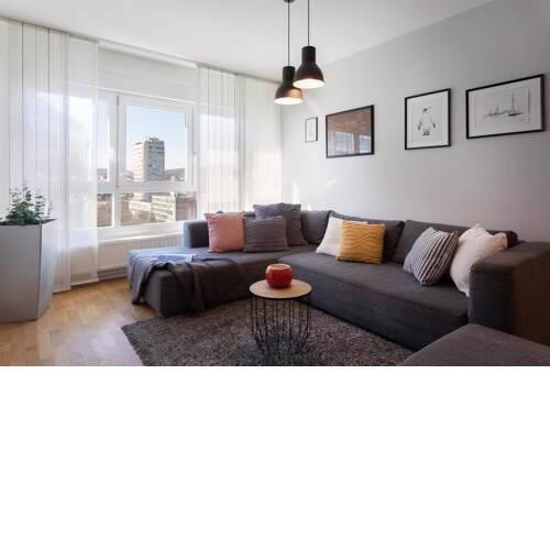 Spacious Apartment in Radnička Business Zone - FREE PARKING
