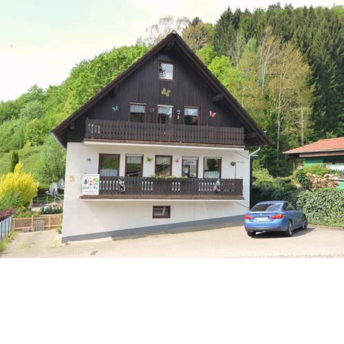 Spacious Apartment in Sieber with Swimming Pool
