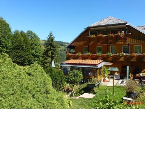 Spacious Apartment in Wieden Black Forest near Ski Area