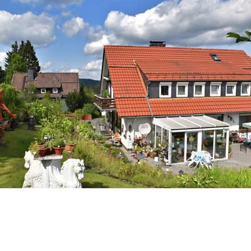 Spacious Apartment in Wildemann near Ski Area