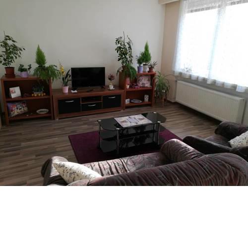 Spacious apartment near Brno. Samostatný byt v RD