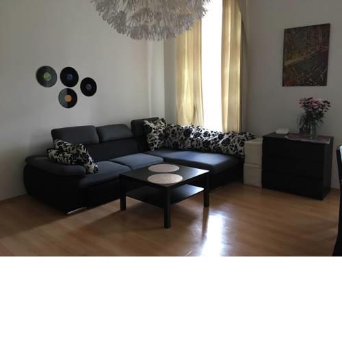 Spacious Apt in city center