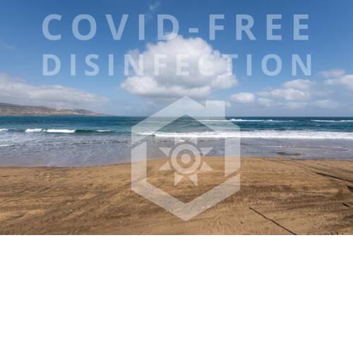 Spacious Beachfront Apartment Las Canteras