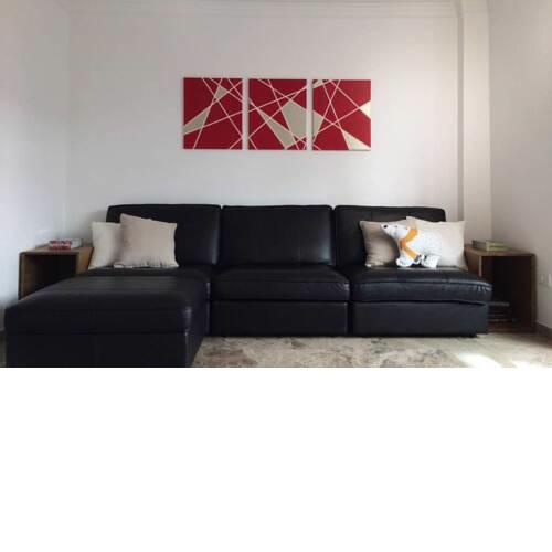 spacious centrally located apartament