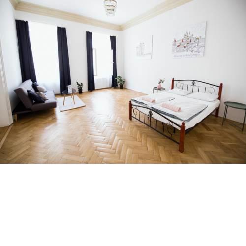 Spacious flat next to the Dancing house, Vltava river side