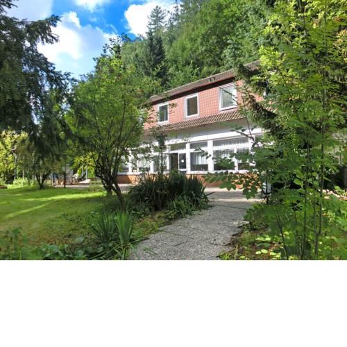 Spacious Holiday Home in Lowensen Lower Saxony near Forest