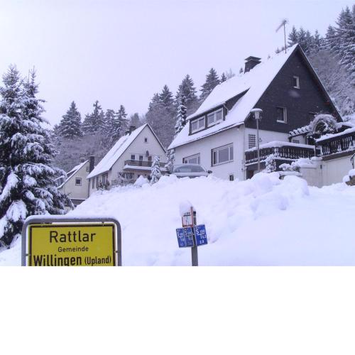 Spacious holiday home with private terrace in Rattlar near Willingen
