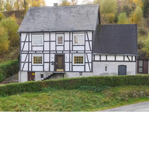 Large holidayhome near Winterberg with garden, terrace and garage