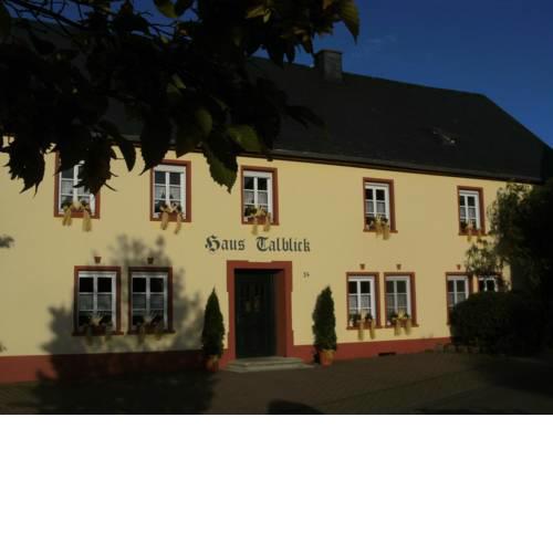 Spacious Mansion in Morbach with Terrace
