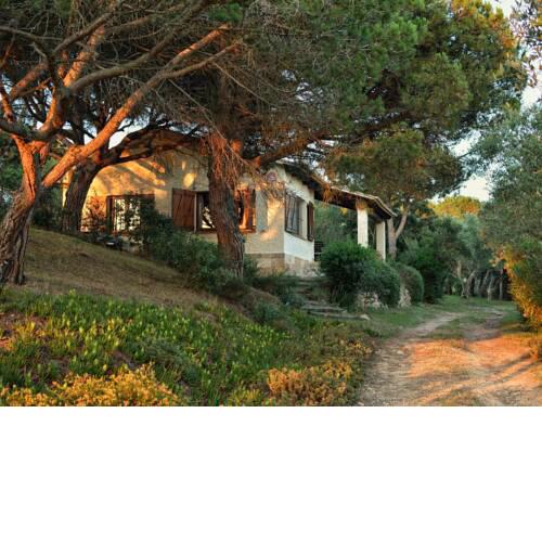 Spacious Mansion in Palafrugell Near Beach