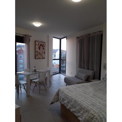 Spacious Studio in Center with Free Parking