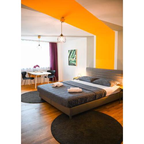Spacy Apartment St Charles Church