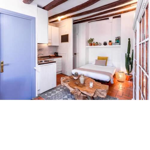 Spanish penthouse with terrace Sleeps 4 in El Born