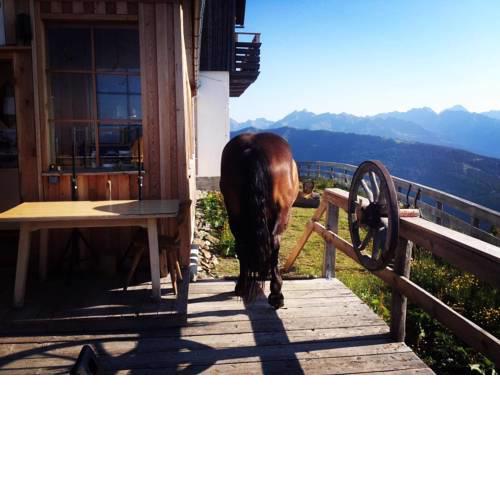 Speiereckhütte