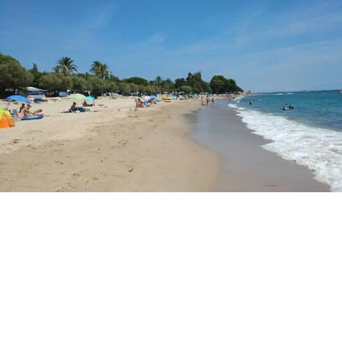 Spiaggia dorata