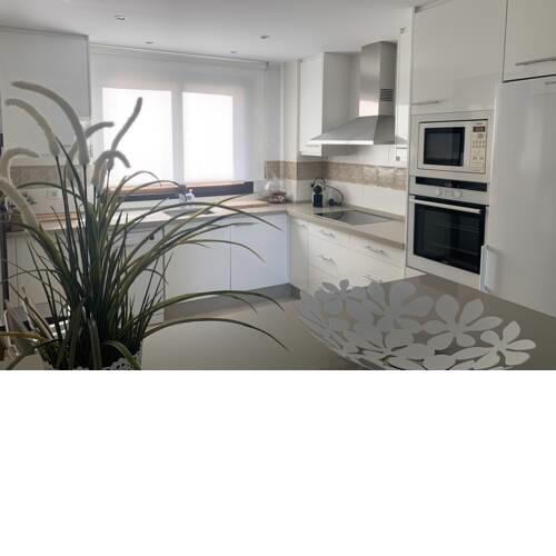 Splendid apartment with sea view