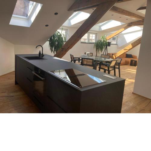 Split Rooftop loft
