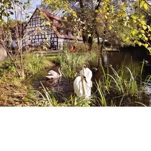 Springbach-Mühle Belzig