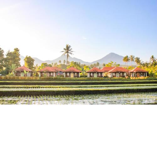 Sri Lestari Banyuatis