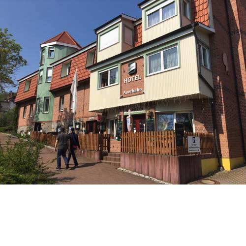 Stadt-gut-Hotel Auerhahn