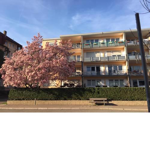 Stadtferienwohnung