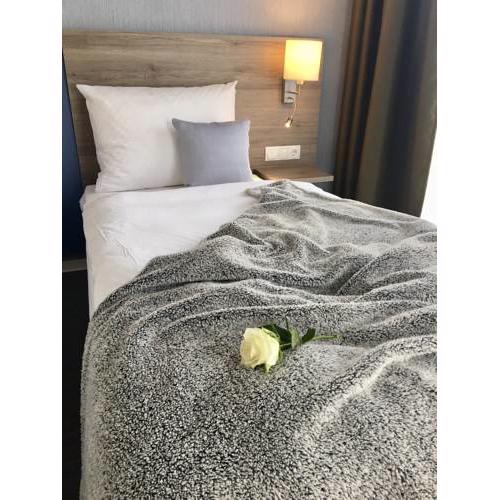 StadtHotel ARTE