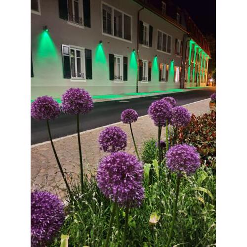 Stadthotel Haslach