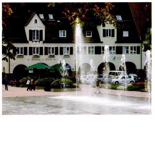 Stadthotel Traube